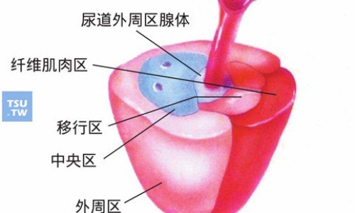 强力心脑康胶囊多少钱一盒-强力心脑康胶囊-专业强力心脑康胶囊多少钱一盒平台-强力心脑康胶囊成分
