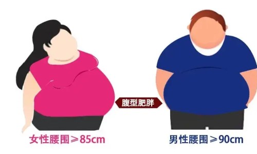 强力心脑康胶囊说明书-强力心脑康胶囊-专业强力心脑康胶囊多少钱一盒平台-强力心脑康胶囊成分